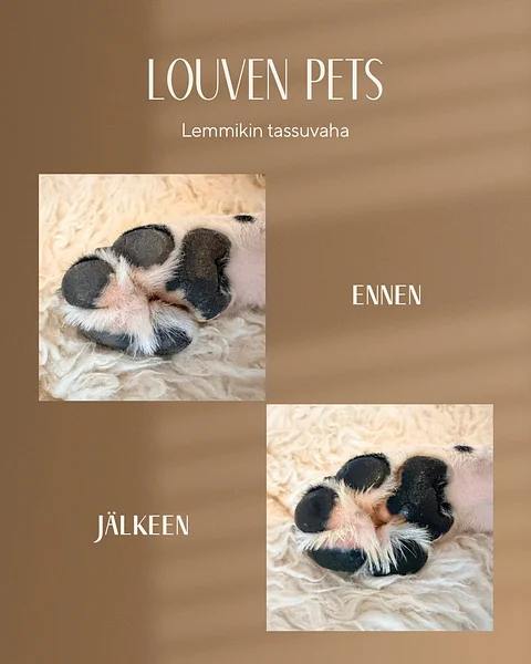Paw wax for pets